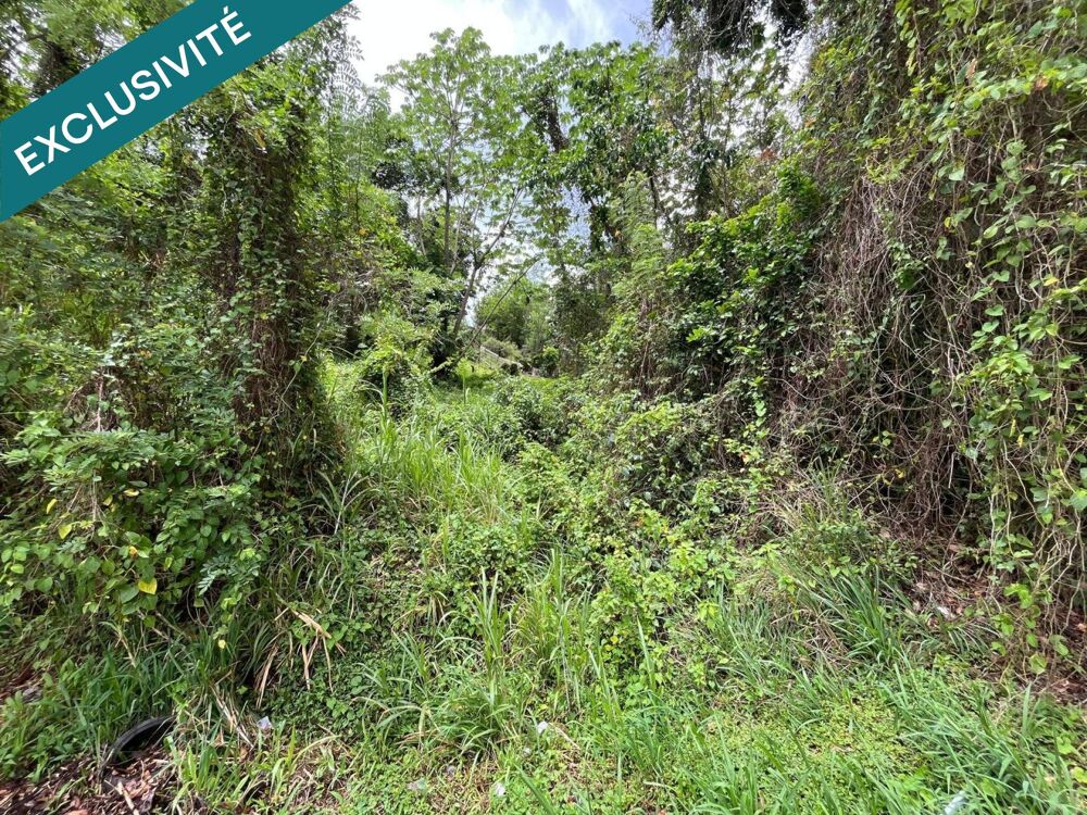 Vente Terrain Rare sur le secteur ! Le marin