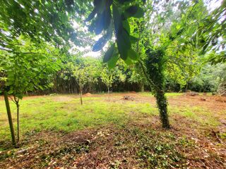  Terrain à vendre 1100 m²