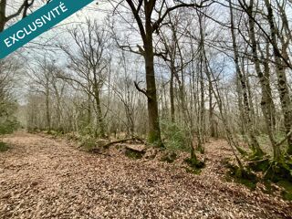  Terrain � vendre 419062 m�