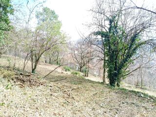  Terrain à vendre 2405 m²
