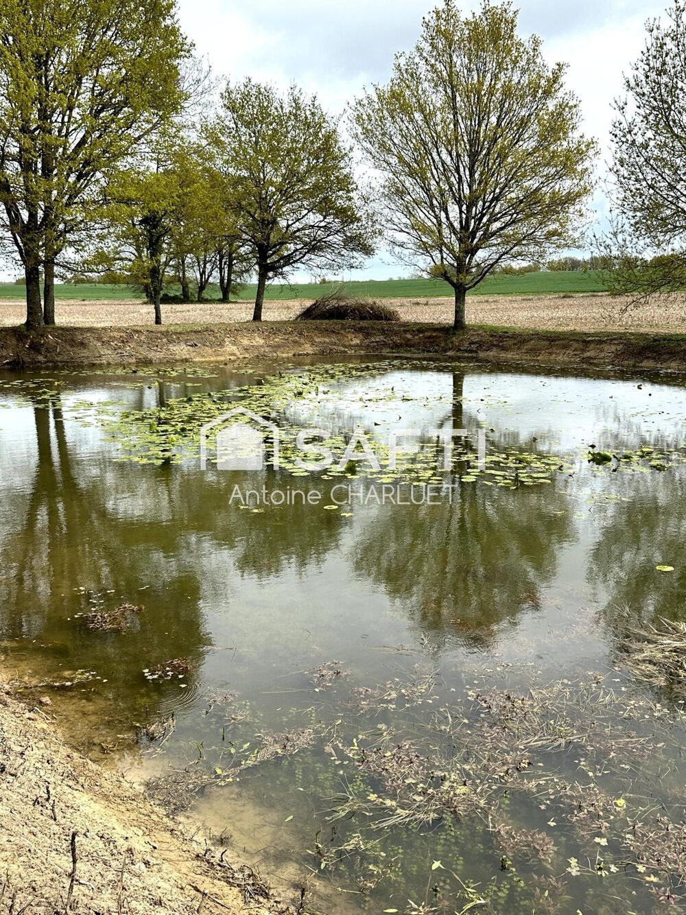 Vente Terrain Étang de loisir Saulnay