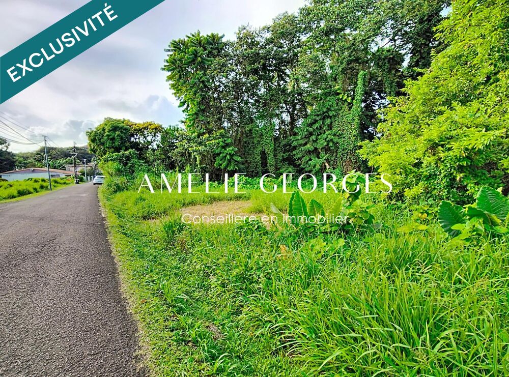 Vente Terrain Terrain rare 4430 m2 - Saint Joseph Saint-joseph
