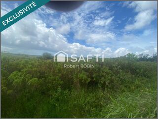  Terrain � vendre 11467 m�