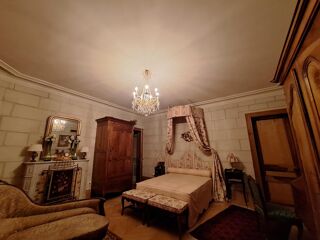  Propriété/château à vendre 14 pièces 650 m² Ingrandes