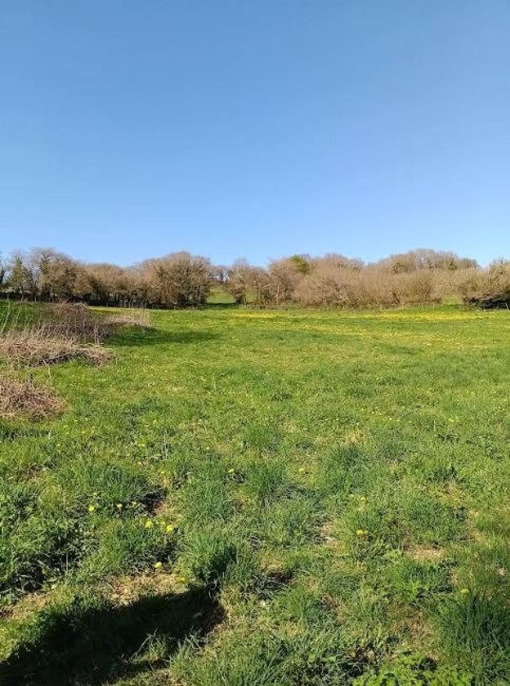 Vente Maison PROPRIETE EQUESTRE DE 3HA Lannéanou