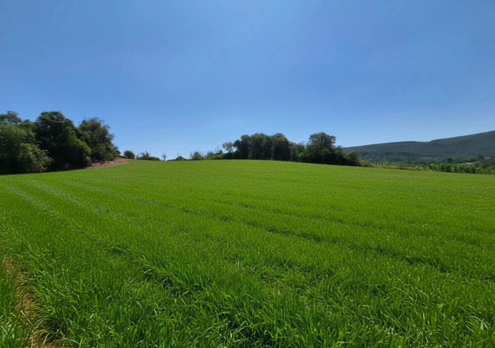 Vente Terrain PROJET DE VIE Prades-sur-vernazobre