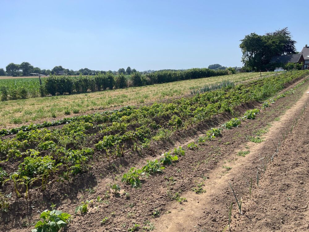 Vente Maison En campagne Charchigne