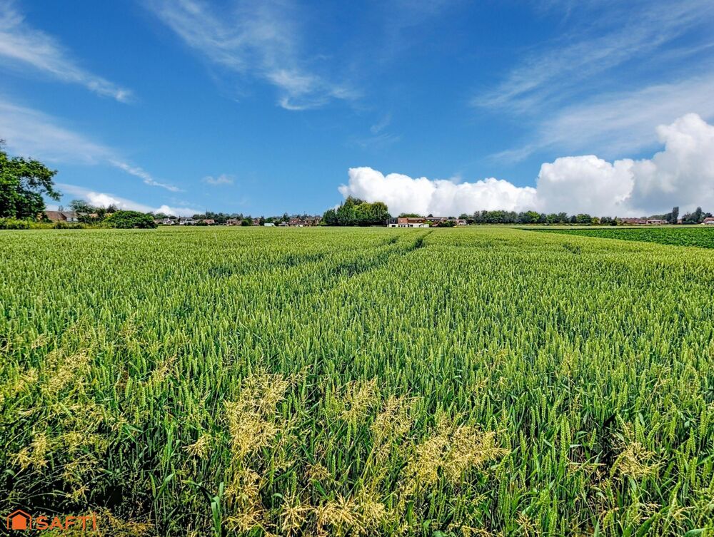 Vente Maison Calme et charme à Leers ! Leers
