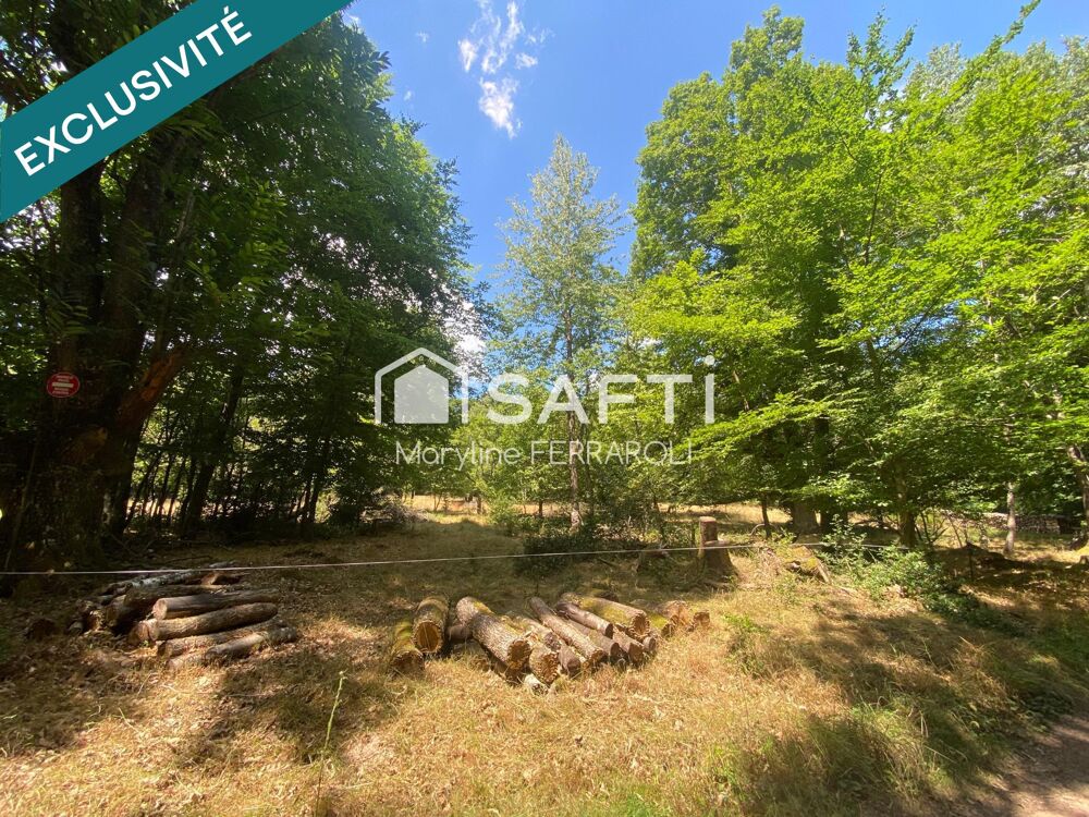 Vente Terrain Terrain de loisirs, avec verger et forêt Goersdorf