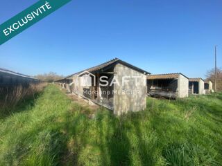  Terrain à vendre 5000 m²
