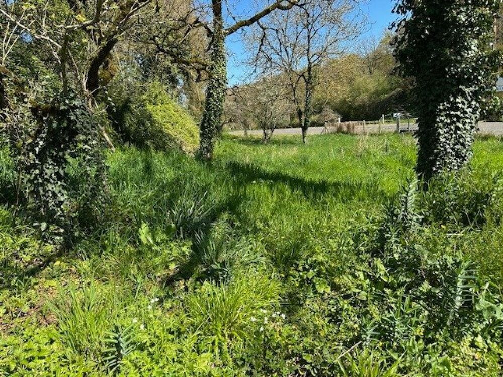 Vente Terrain terrain constructible de 1320 m2 La chapelle-montreuil