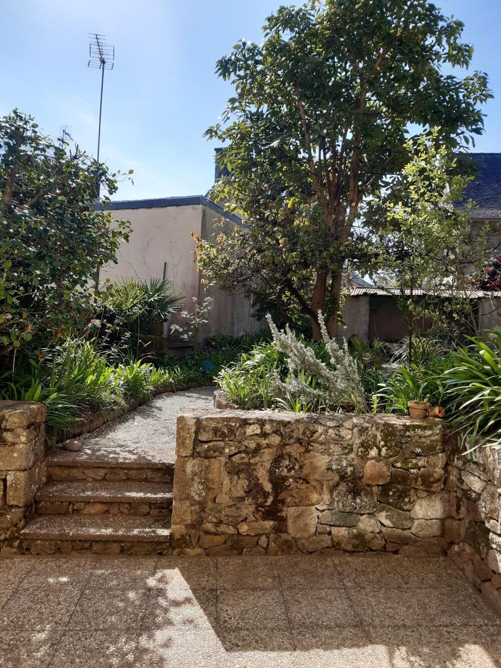 � vendre  Maison Dinard (35800)