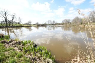  Terrain à vendre 14700 m²