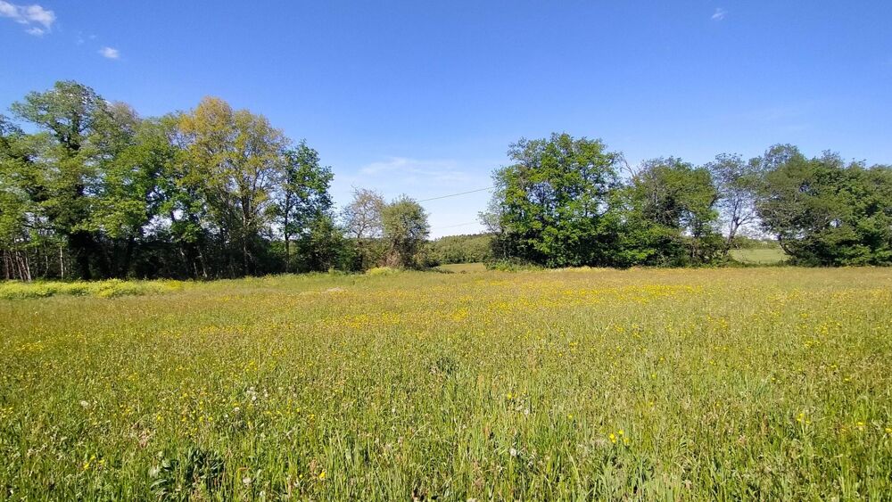 Vente Terrain Grand terrain constructible proche de Gourdon Le vigan