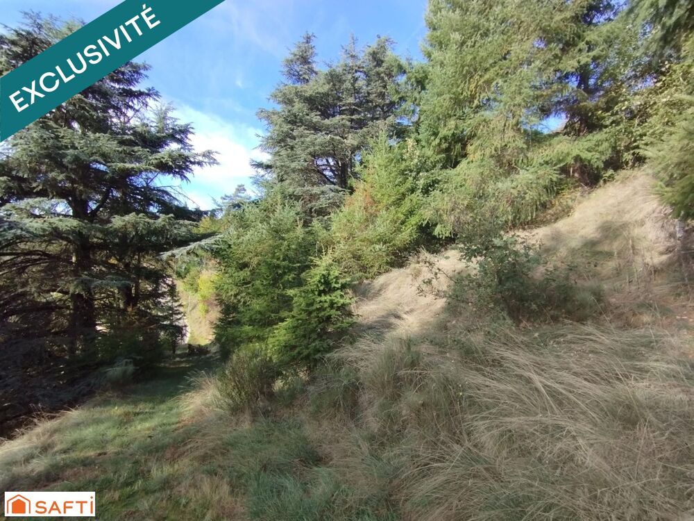 Vente Terrain Terrain avec très belle vue, 8045m² et 1618m² constructibles Saint-martin-de-valamas