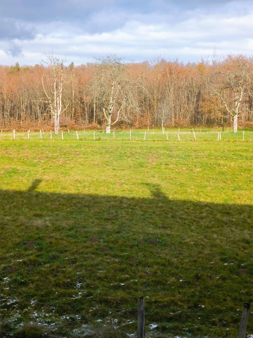 Vente Maison MAISON DE CAMPAGNE 111,76 m2 SUR 36,14 ARES Magnivray