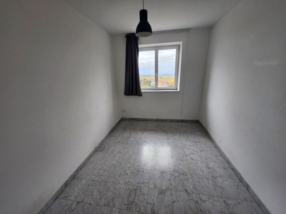 Vente Appartement Appartement de 100 m² sur 350 m² de terrain Vœgtlinshoffen