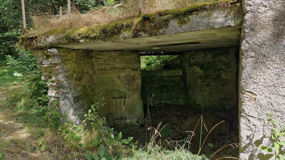 Vente Maison habitation et dépendances sur 6 hectares Le soulie