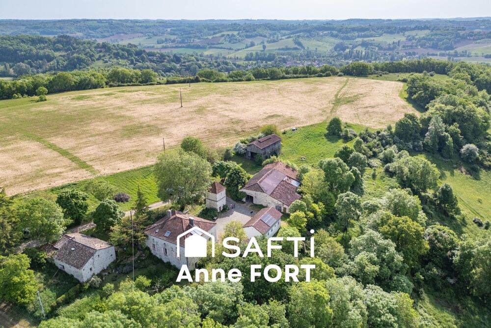 Vente Maison Propriété au charme unique avec 17 hectares, entre Agen et Villeneuve-sur-Lot La sauvetat-de-saveres