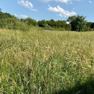  Terrain à vendre 4874 m²