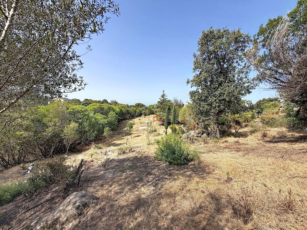 Vente Terrain Terrain AGOSTA-MOLINI avec 2 permis Albitreccia