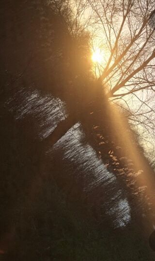  Terrain � vendre 3522 m�