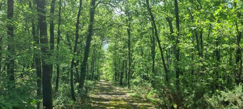 Domaine &eacute;cotouristique 1,3 ha : Camping pr&ecirc;t &agrave; fonctionner 147500 82500 Serignac