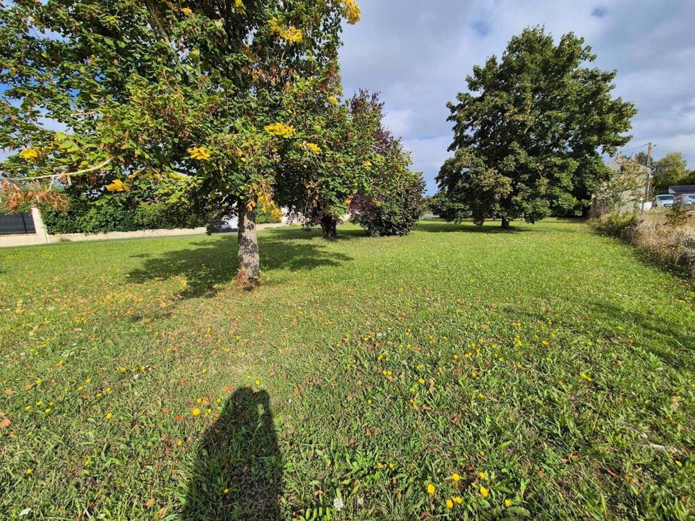 Vente Terrain Terrain constructible de 758 m² Courcelles le roi