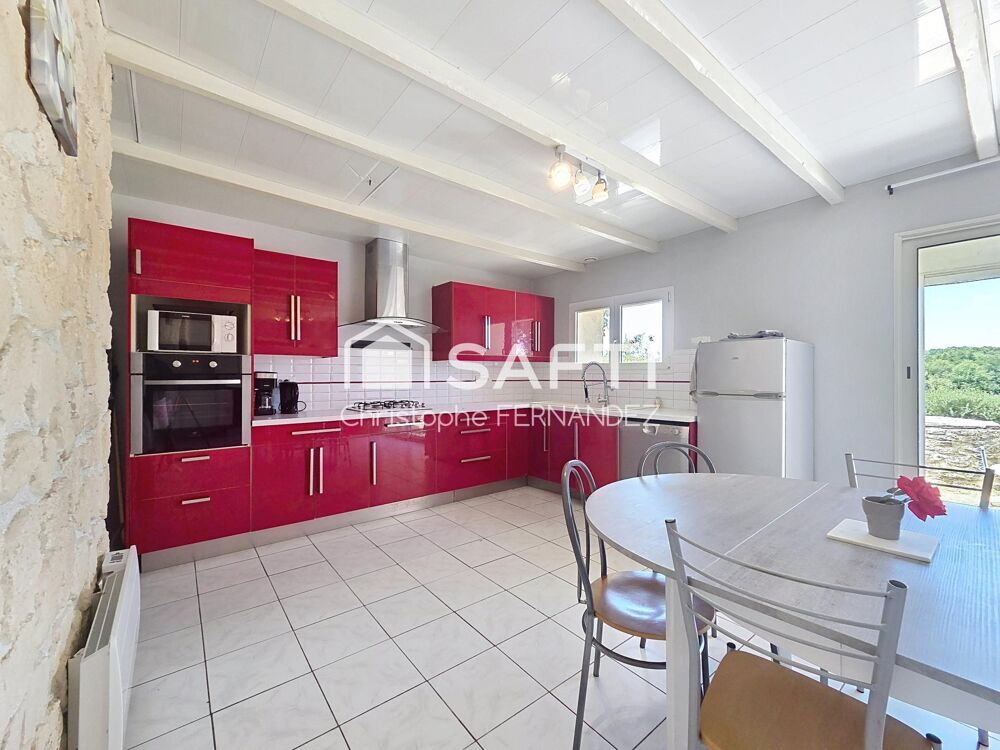 Maison en pierre, 8 chambres et très grand terrain