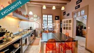  Hôtel Particulier à vendre 8 pièces 300 m²