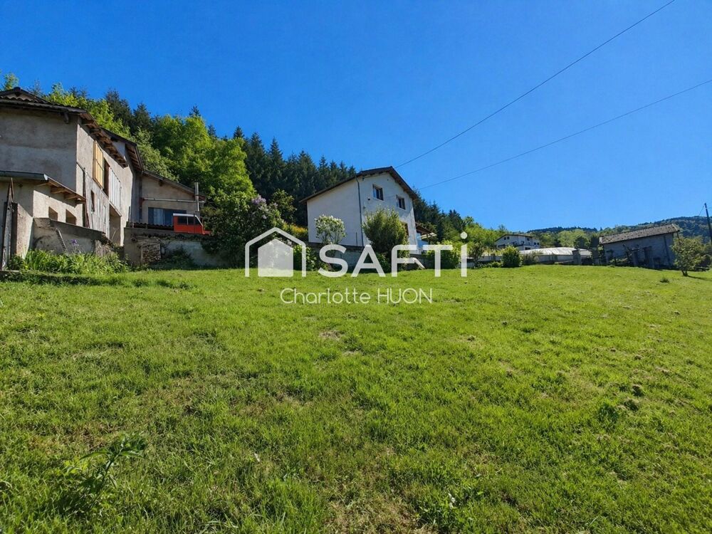 Vente Maison ? Opportunité à saisir ! Maison + grande dépendance dans cadre paisible Saint-martin-des-olmes