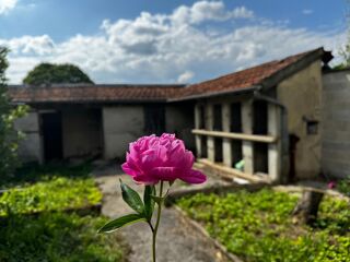  Maison � vendre 5 pi�ces 85 m�