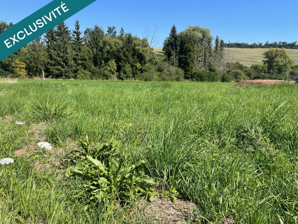 Vente Terrain À vendre – Terrain viabilisé de 9,67 ares Bibiche