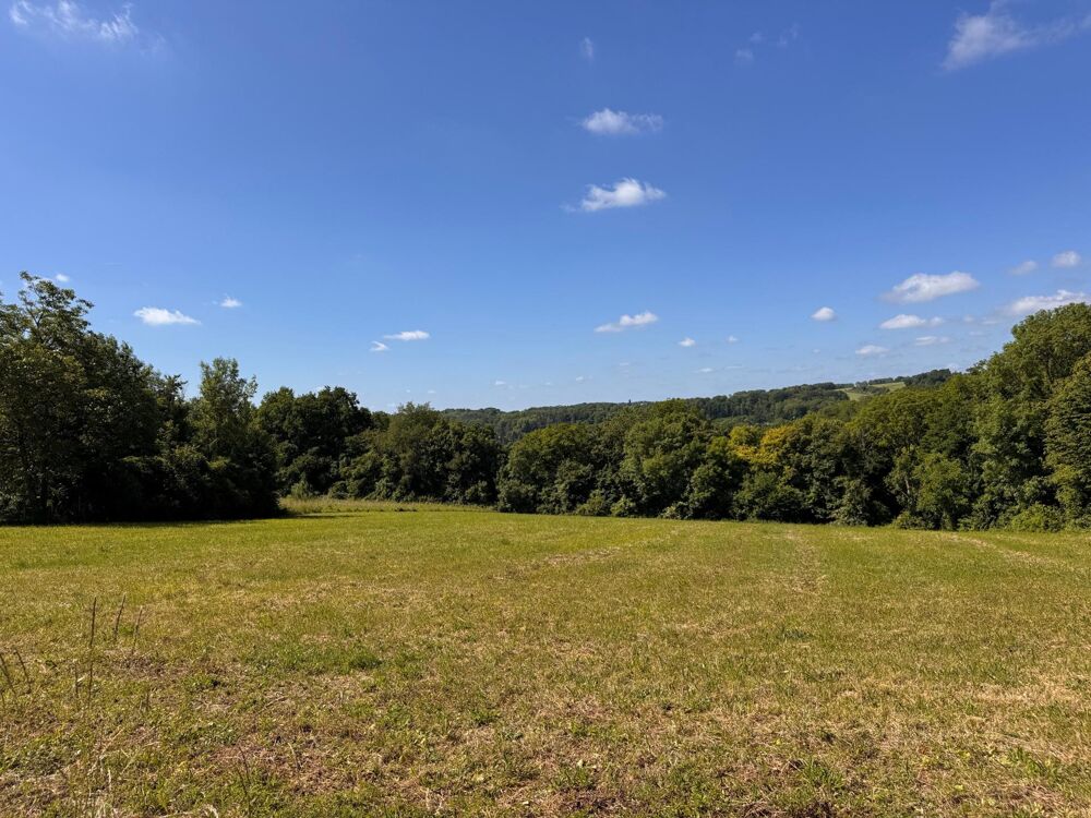 Vente Terrain 3 mn A4 Montreuil aux lions La ferte-sous-jouarre