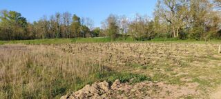  Terrain à vendre 65000 m²