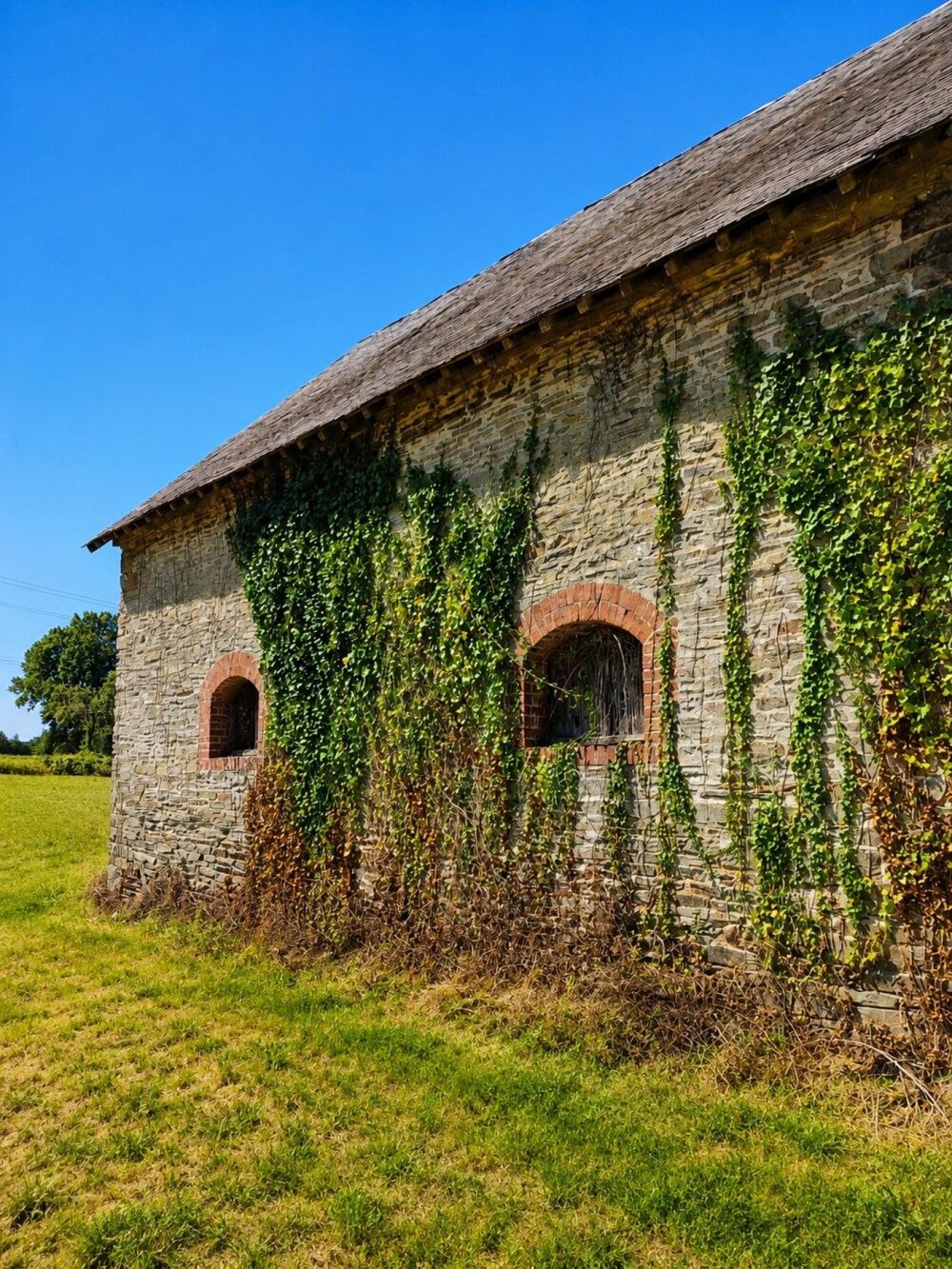 Vente Terrain Vaste terrain avec deux granges en pleine nature Thuboeuf
