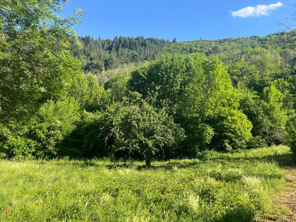 Vente Terrain Terrain constructible vallée borgne Saumane