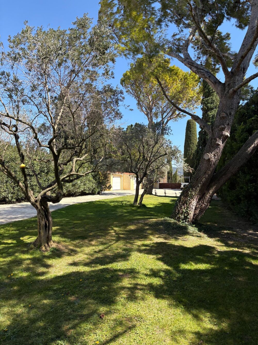 � vendre  Maison Vacqueyras (84190)