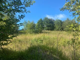  Terrain � vendre 770 m�