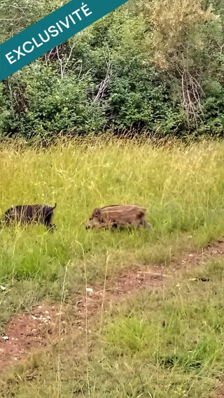  Terrain � vendre 697767 m�