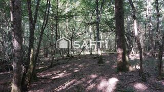  Terrain à vendre 136761 m²