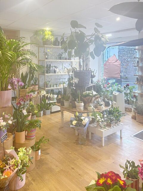 Rare &agrave; Rosoff ! Superbe fleuriste en centre ville, emplacement premium, client&egrave;le fid&egrave;le. A d&eacute;couvrir sans tarder 105900 29680 Roscoff