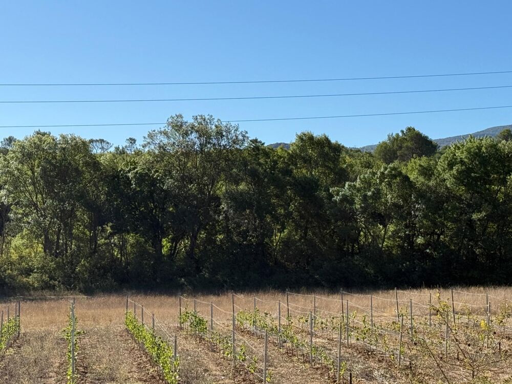 Vente Terrain BEAU TERRAIN AGRICOLE 2570M2 NON CONSTRUCTIBLE Nans-les-pins