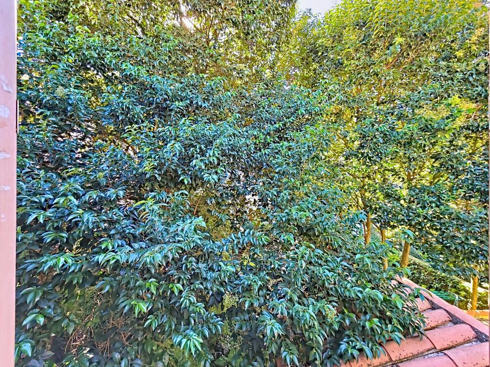 Vente Appartement Appartement T2 traversant, lumineux et au calme – 33 m² Carrez – Bédarieux centre Bedarieux