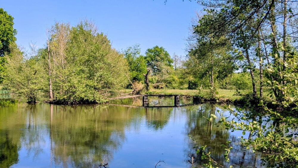 Domaine rare avec dépendances et piscine