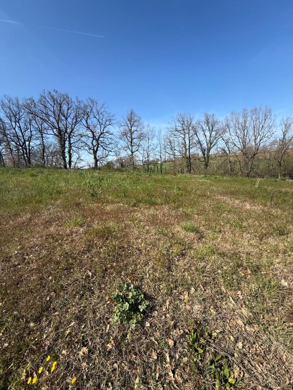 Vente Terrain Terrain de 554m2 dans un lotissement calme Lasgraisses
