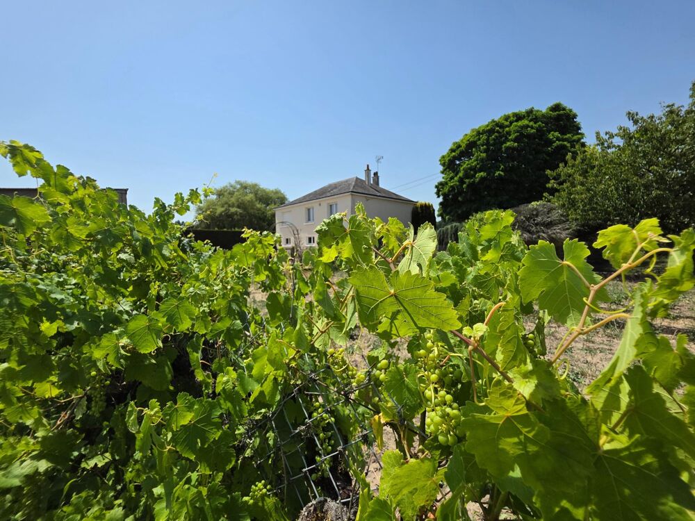 Maison traditionelle, ses dépendances et son terrain agricole !! A visiter sans tarder !