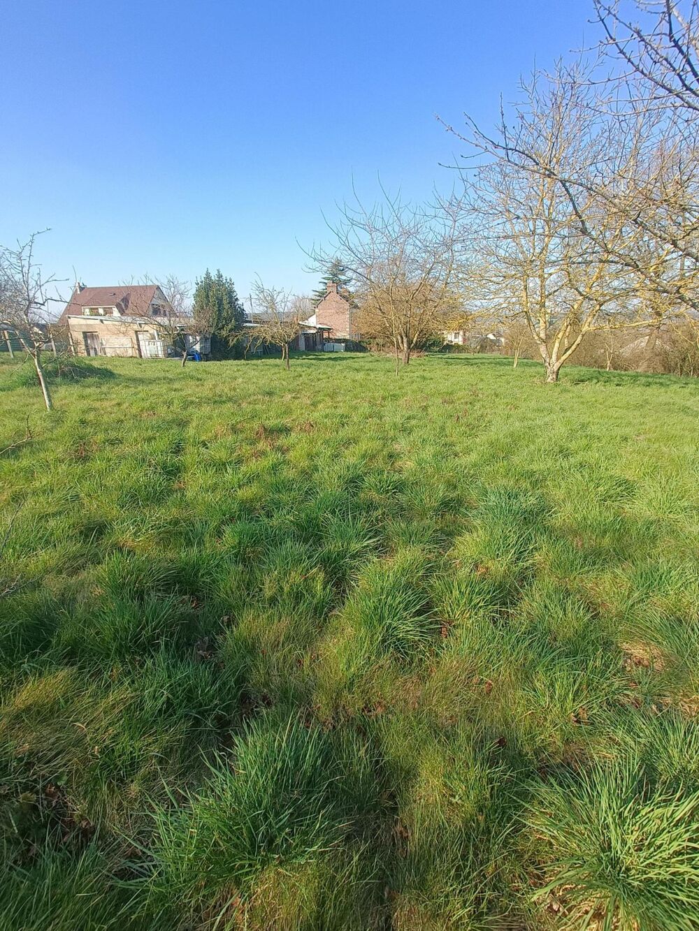 Vente Terrain TERRAIN A BATIR, RARE A LA VENTE. Les damps