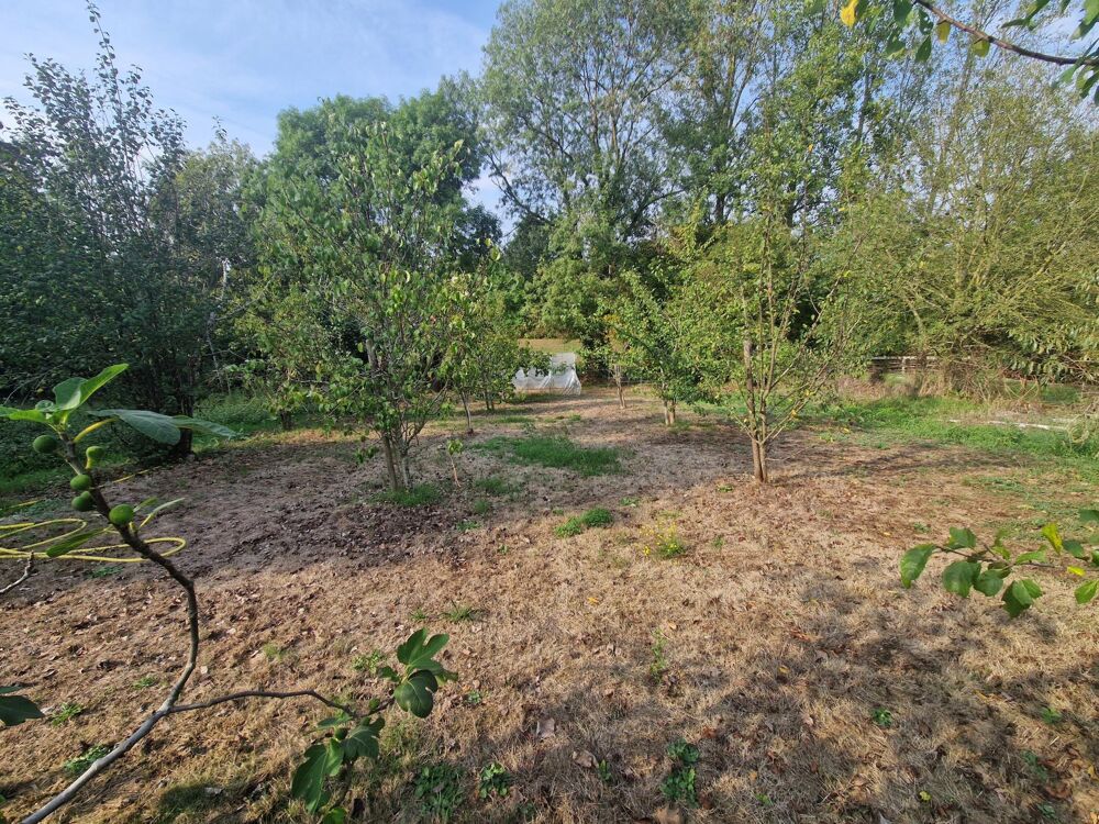 Vente Terrain Vaste terrain à bâtir, à quelques minutes des Sables d'Olonne Grosbreuil