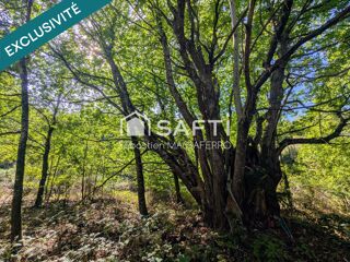  Terrain à vendre 27685 m²